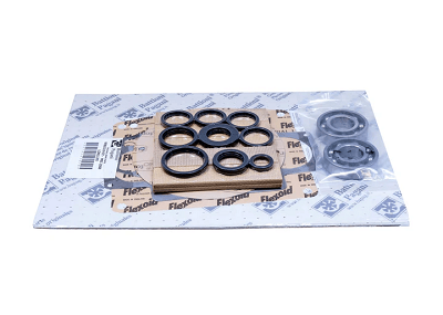 Battioni MEC Vacuum Pump Rebuild Kit With Bearings